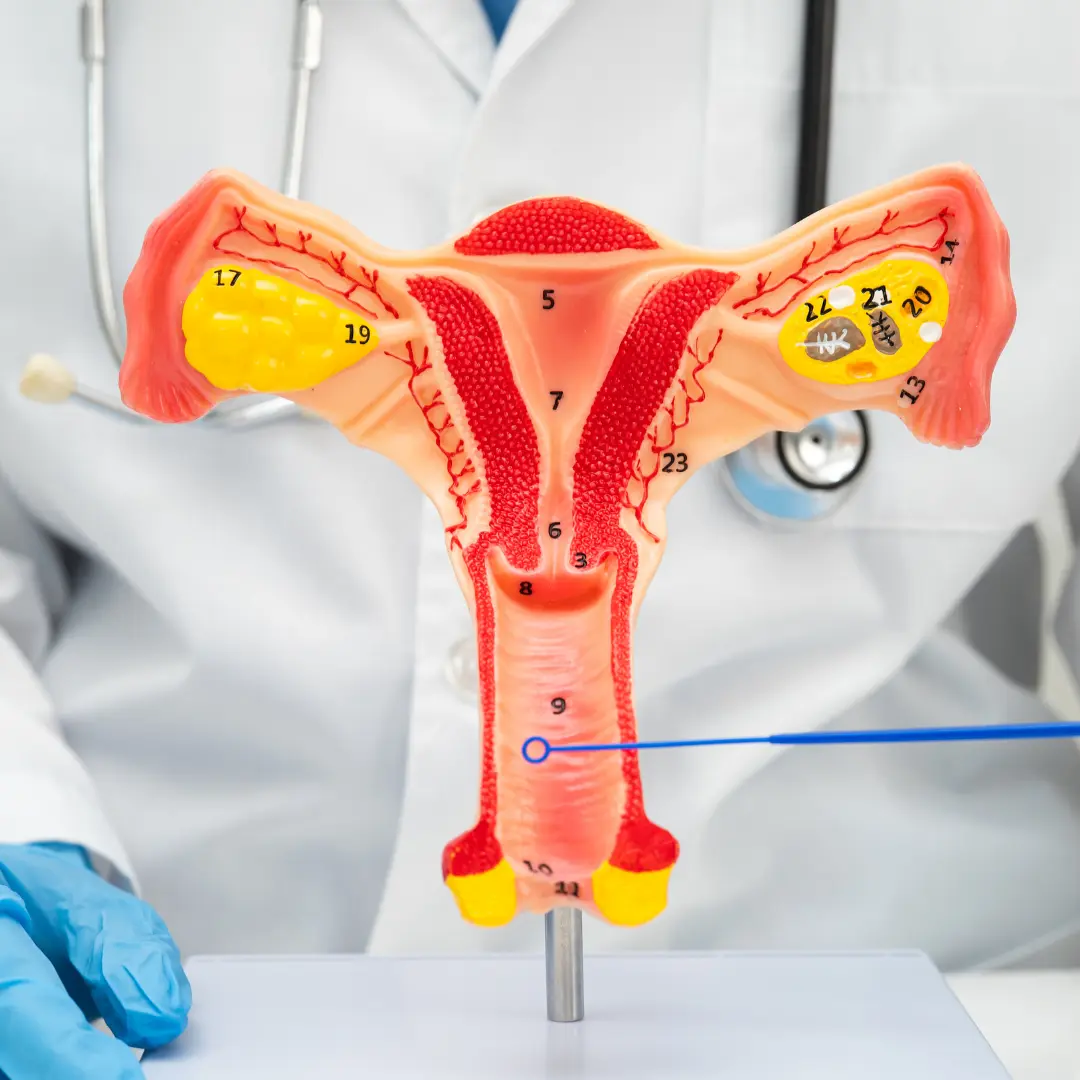Yazın Genital Bakım Nasıl Yapılır?