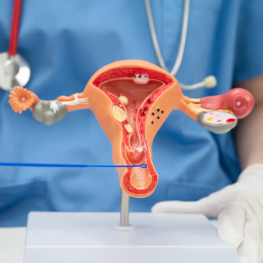Spor Sonrası Genital Bakım